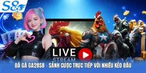 Đá Gà Ga28 S8 - Sảnh Cược Trực Tiếp Với Nhiều Kèo Đấu