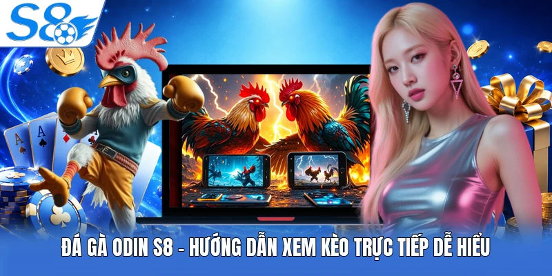 Đá Gà Odin S8 - Hướng Dẫn Xem Kèo Trực Tiếp Dễ Hiểu