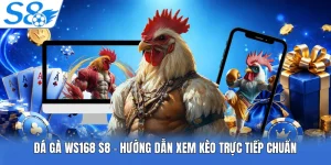 Đá Gà Ws168 S8 - Hướng Dẫn Xem Kèo Trực Tiếp Chuẩn