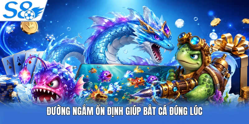 Đường ngắm ổn định giúp bắt cá đúng lúc