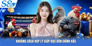 Đá Gà Cựa Dao S8 - Cách Theo Dõi Trận Đấu Chính Xác