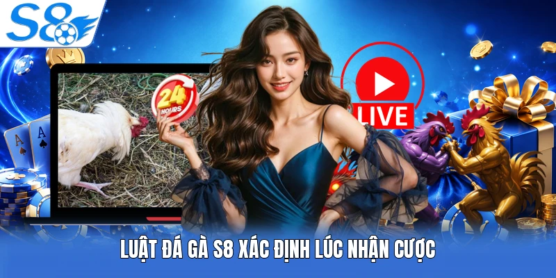 Luật đá gà S8 xác định lúc nhận cược