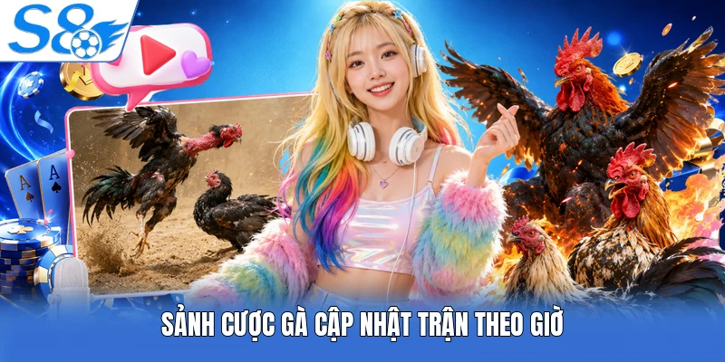 Sảnh cược gà cập nhật trận theo giờ