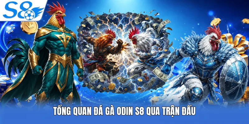 Tổng quan đá gà odin S8 qua trận đấu